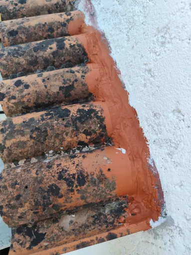 après réparation fissure déborde toiture fenêtre bande étanche élastomère artisan Janselme La Colle-sur-Loup