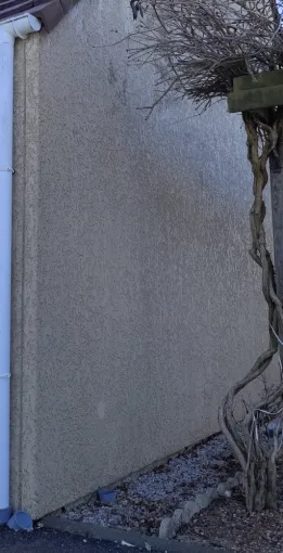 traitement fongicide algicide champignons lichen mural La Colle-sur-Loup artisan Janselme